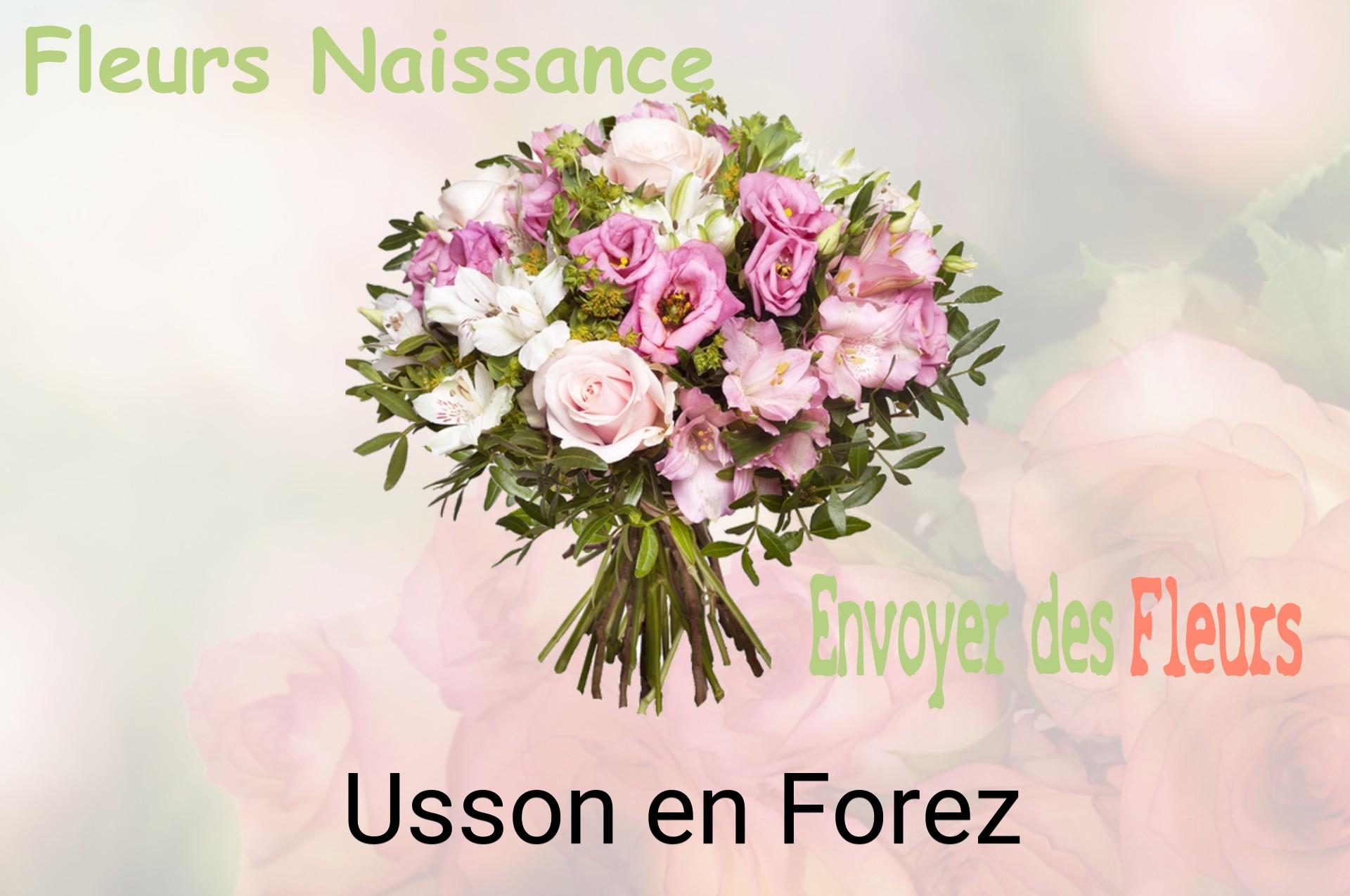Bouquet de fleurs de naissance livré à Usson-en-Forez
