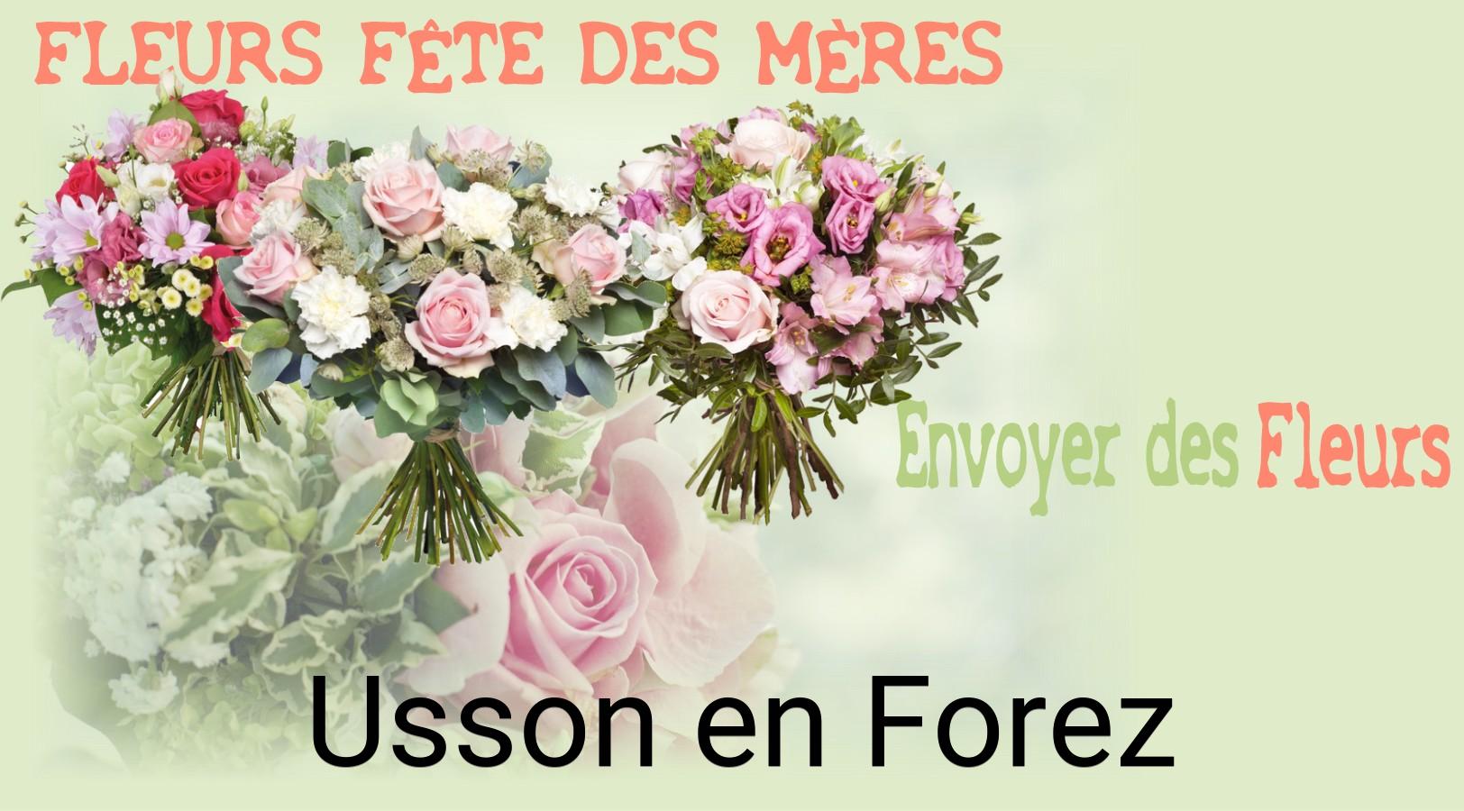 Bouquet de Fête des Mères livré à Usson-en-Forez